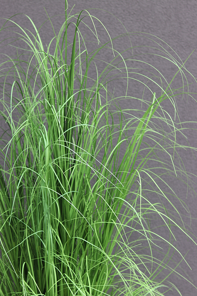 Belato, sztuczna trawa do twojej donicy, wys.170cm