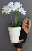 duży sztuczny storczyk w białej donicy, Milena Jerano 2, wys.124cm 