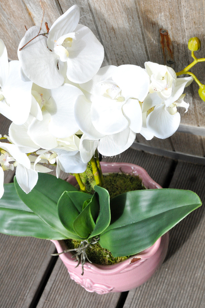 sztuczny storczyk Tenesse Pink w kolorze naturalnej bieli, wys. ok. 66cm