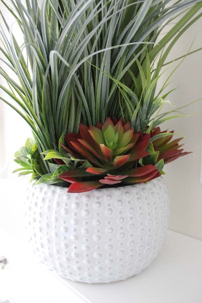 imponująca trawa z sukulentami, Monachium, wys.90cm