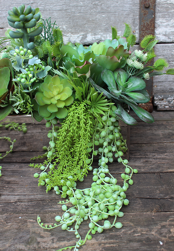 Anya 3, piękna kompozycja Sukulenty w lustrzanej donicy, wys.34cm