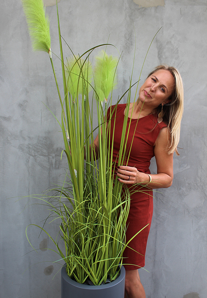 Bellano, wieczne trawy w donicy fiberglass, wym.180cm 