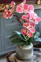 efektowny różowy storczyk w srebrnej donicy, Taona, wys.54cm 