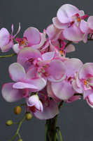 Pink&Silver, elegancki storczyk glamour w lustrzanym naczyniu, wys.67cm