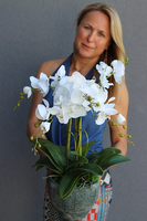 Klenoa, sztuczny storczyk w ceramicznej etno donicy, wys.62cm 