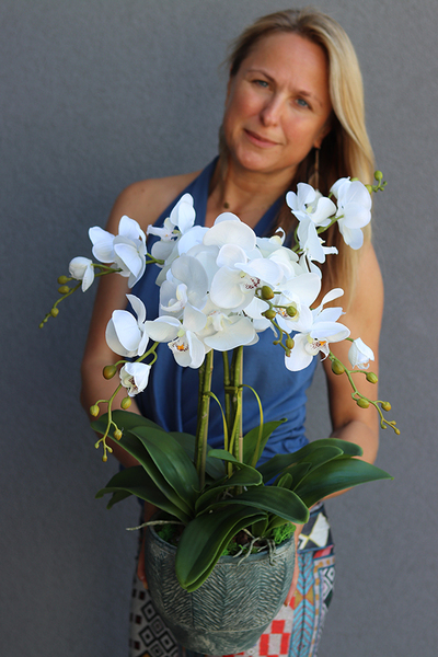 Klenoa, sztuczny storczyk w ceramicznej etno donicy, wys.62cm 