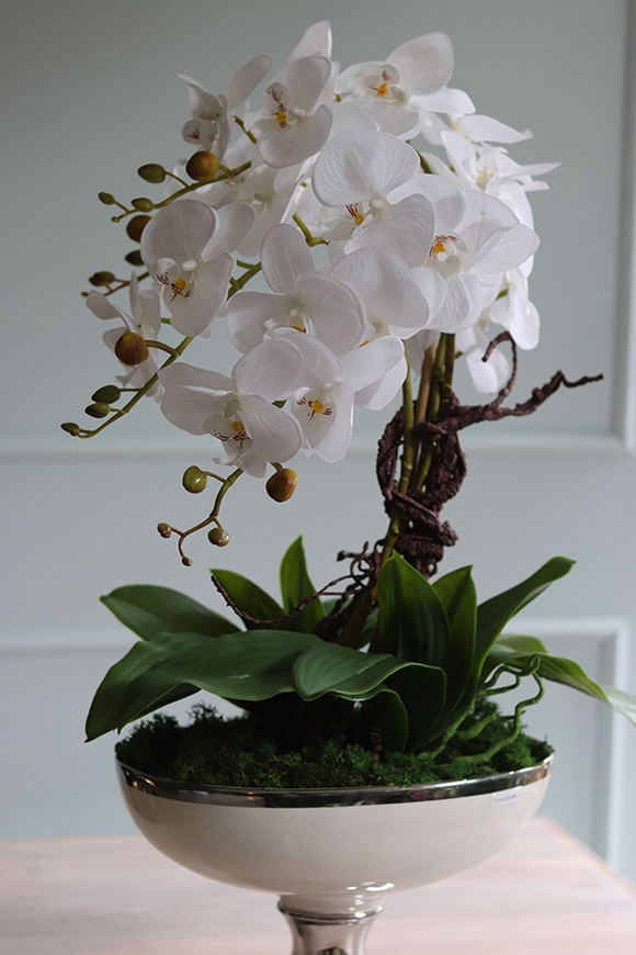 Helioso, elegancki storczyk w białym pucharze glamour, wys.67cm