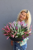 kompozycja kwiatowa w okrągłej misie, Wrzosy Rani, wym.20x46cm 