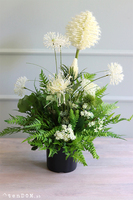 Titika, zielona kompozycja w czarnej donicy, wys.54cm