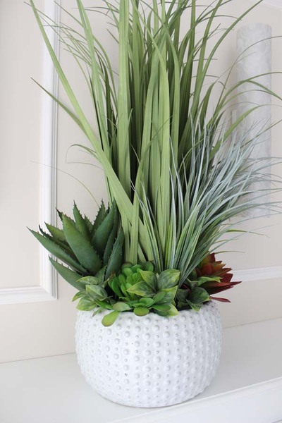 imponująca trawa z sukulentami, Monachium, wys.90cm