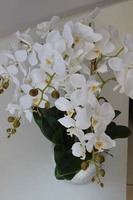 Bergamo elegancki sztuczny storczyk, wys.62cm