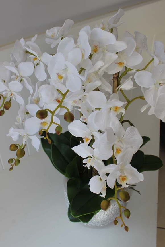 Bergamo elegancki sztuczny storczyk, wys.62cm