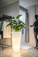 Della donica podświetlana światło ciepłe 49x90cm