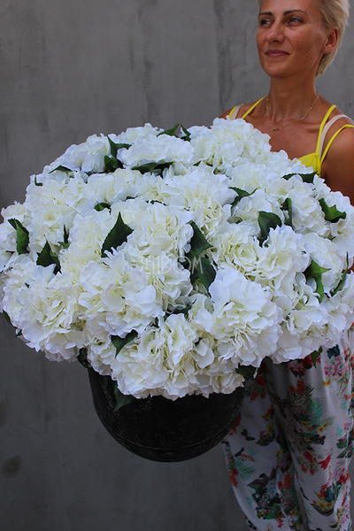 kompozycja kwiatowa Grigio biała hortensja XL, wys.70cm