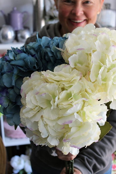 kremowa hortensja 1 sztuka, wys.80cm Cream