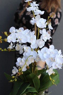 Kulena Tall, sztuczny storczyk w etno donicy, wys.62cm