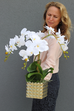 Lorenia, stylowy storczyk w złotej donicy, wys.54cm