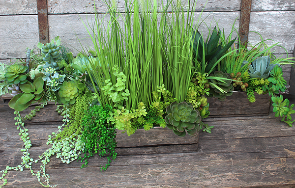 Anya piękna kompozycja Trawy & Sukulenty w lustrzanej donicy, wys.73cm