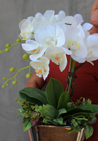 elegancki gumowy storczyk z sukulentami, Metrana, wys.38cm