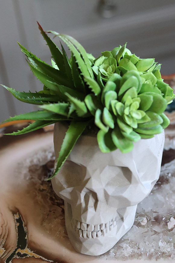 efektowna kompozycja sukulenty, Muerto, wys.19cm