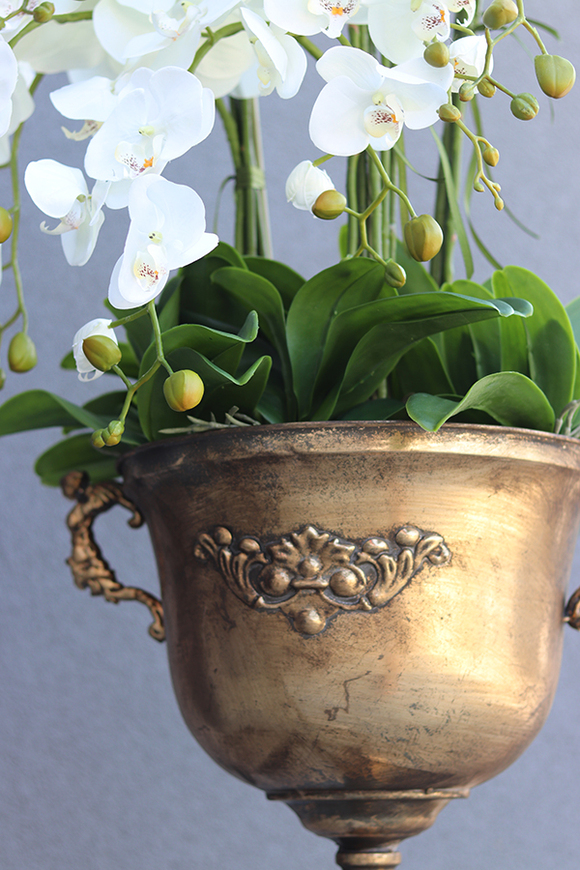 atrakcyjny wysoki storczyk w pucharze, Pałacowa Aura, wys.152cm 