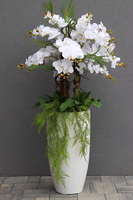 Fiberglass Grande White Duo, efektowny storczyk w białej donicy z fiberglass, wys.140cm