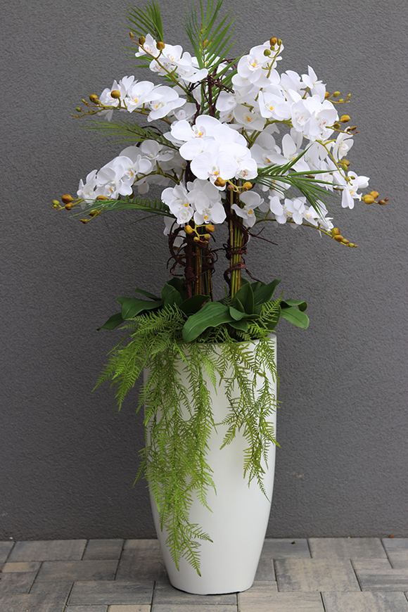 Fiberglass Grande White Duo, efektowny storczyk w białej donicy z fiberglass, wys.140cm