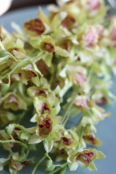 bukiet tajskiej orchidei, Multikolor, zielona, 12szt, dł.67cm