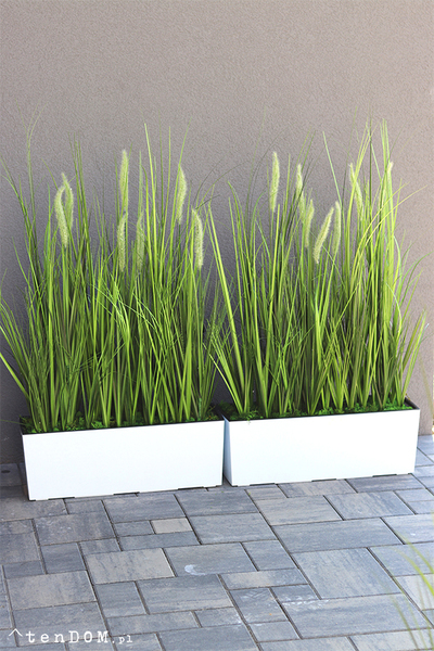 Greta Summer Tall, kompozycja z traw w białej donicy z kłosami, wys.100cm 