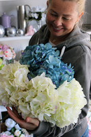 kremowa hortensja 1 sztuka, wys.80cm Cream