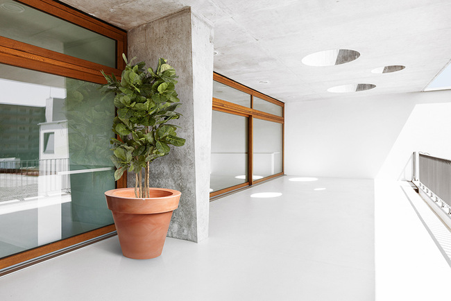 Grande donica terakota, 88x75cm