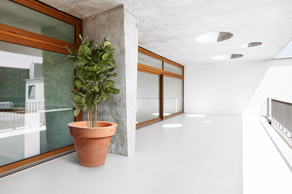 Grande donica terakota, 88x75cm