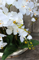 ogromny storczyk sztuczny w aluminiowej donicy Ballada, wys.80cm