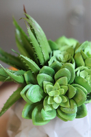 efektowna kompozycja sukulenty, Muerto, wys.19cm