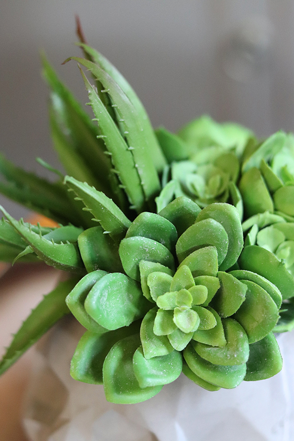 efektowna kompozycja sukulenty, Muerto, wys.19cm