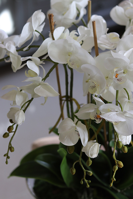 Bartolomeo Łódka, storczyk w srebrnym wydłużonym naczyniu, wys.55cm