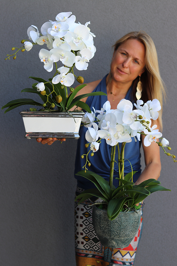 Caprisa biały storczyk w biało-srebrnej donicy, wys.50cm