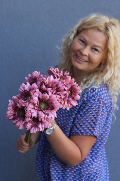 Gerbery Flamenco, bukiet wiśniowych kwiatów, dł.51cm