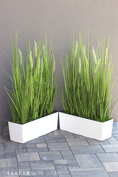 Greta Summer Tall, kompozycja z traw w białej donicy z kłosami, wys.100cm 