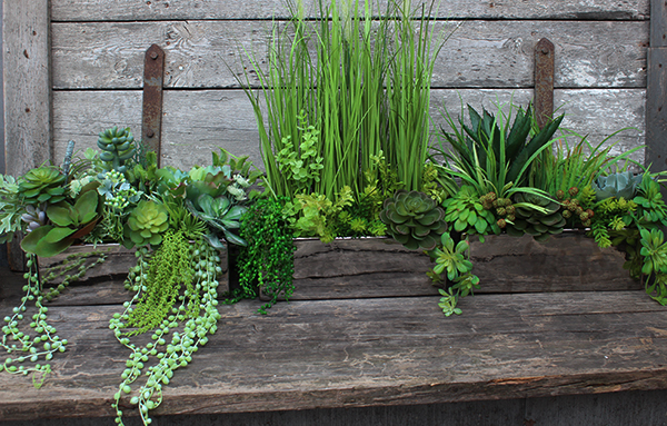 Anya piękna kompozycja Trawy & Sukulenty w lustrzanej donicy, wys.73cm