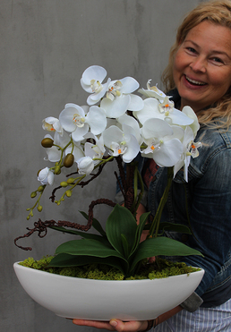 efektowny storczyk Laos White&White, wys.52cm 