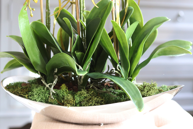 Bartolomeo Łódka, storczyk w srebrnym wydłużonym naczyniu, wys.55cm