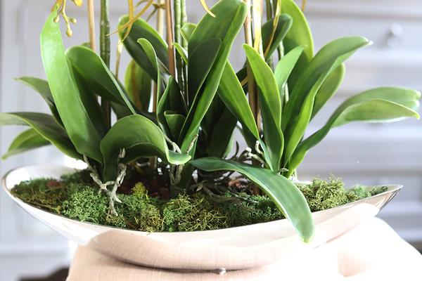 Bartolomeo Łódka, storczyk w srebrnym wydłużonym naczyniu, wys.55cm