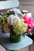 Cekiano, flowerbox z hortensjami w zielonym pudełku, wys.43cm