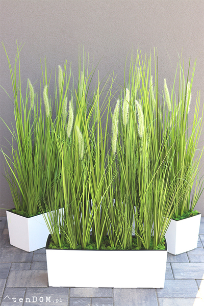 Greta Summer Tall, kompozycja z traw w białej donicy z kłosami, wys.100cm 