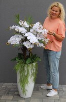 Fiberglass Grande White Duo, efektowny storczyk w białej donicy z fiberglass, wys.140cm