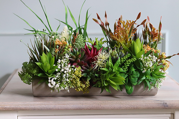 kompozycja sukulenty w długiej donicy, Hektor D, dł.48cm 