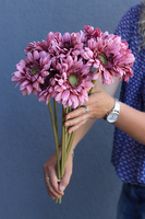 Gerbery Flamenco, bukiet wiśniowych kwiatów, dł.51cm