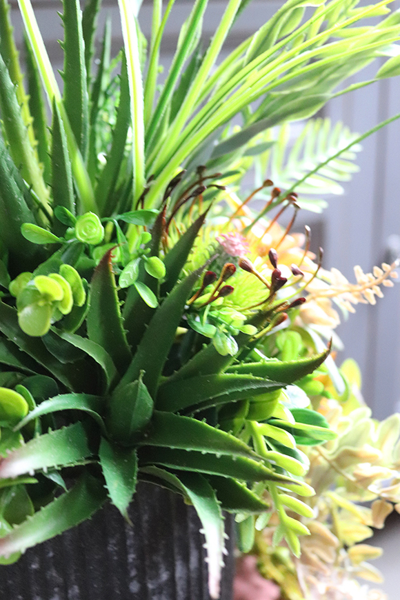 kompozycja sukulenty w czarnym naczyniu, Ysella, wys.40cm