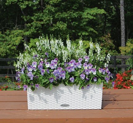 Balconera Cottage, elegancka donica z nawadnianiem, biała, dł.50cm